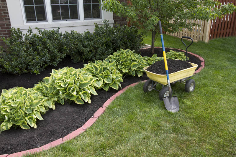 Landscaper Saint-Laurent