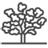 Tree Pruning Westmount
