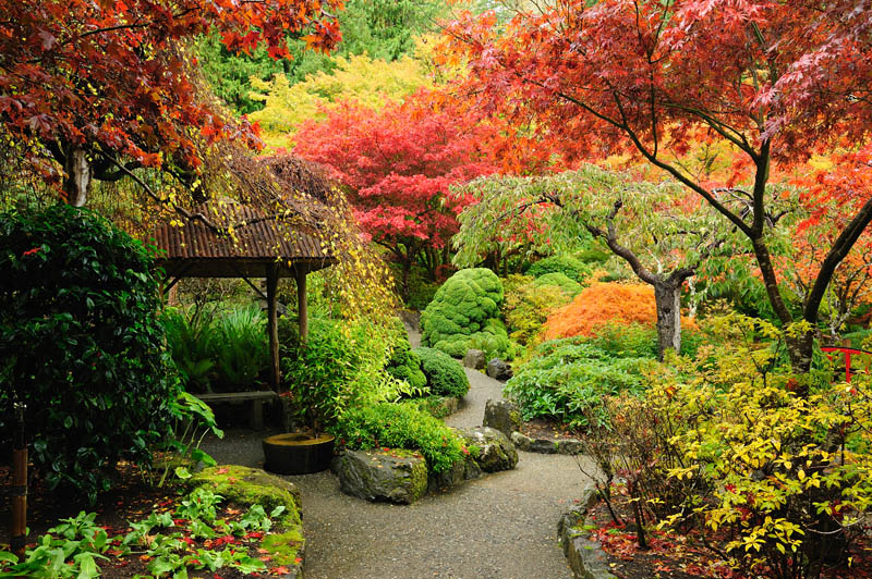 Garden Design Westmount