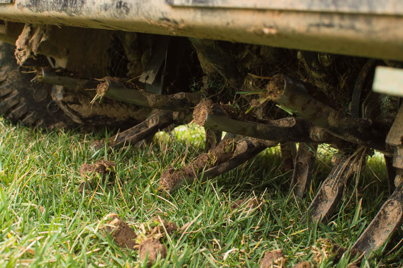 Lawn Aeration Saint-Laurent