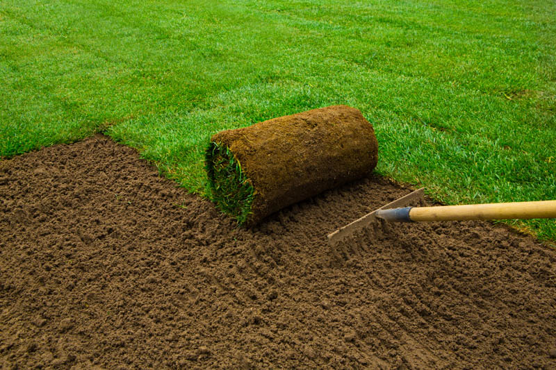 Spring Grass Seeding Saint-Laurent