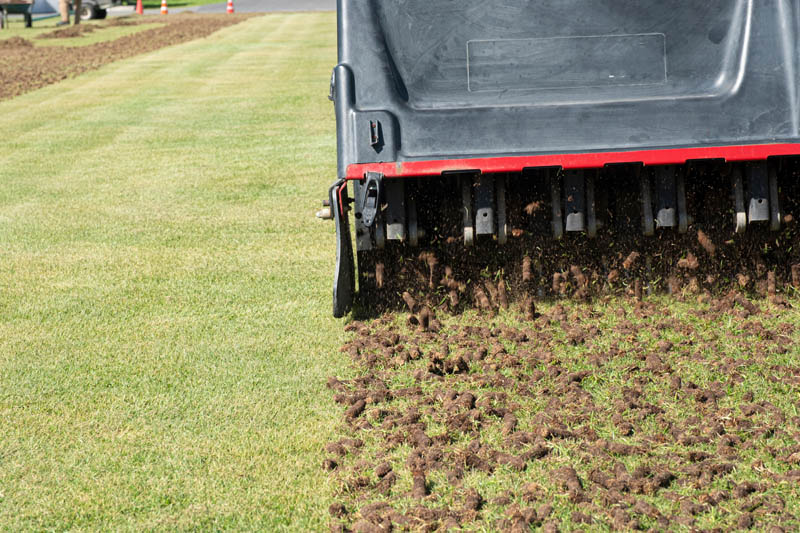 Lawn Aeration Westmount